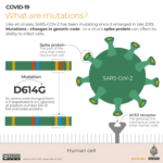 What is XEC, the new COVID variant spreading in the West?