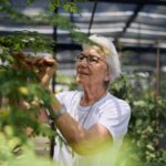 Brazilian nun awarded UN refugee prize