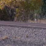 Colorado awarded federal grant funds to improve rail safety