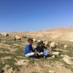 ‘No other land’: Palestinian Bedouins forced out under cover of Gaza war