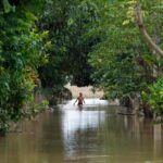 World ‘paying terrible price’ for climate inaction, UN’s Guterres warns