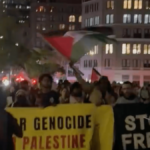 Hundreds rally against genocide on Election Day