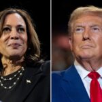 Kamala Harris calls Donald Trump to concede defeat in US election