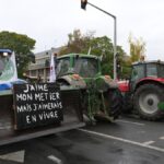 Manure, tractors and anger: Farmers in France protest EU-Mercosur deal