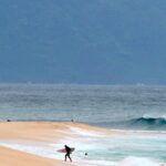 Maui surfer loses leg below the knee in shark attack