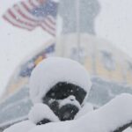 Polis declares disaster emergency, activates National Guard in Colorado